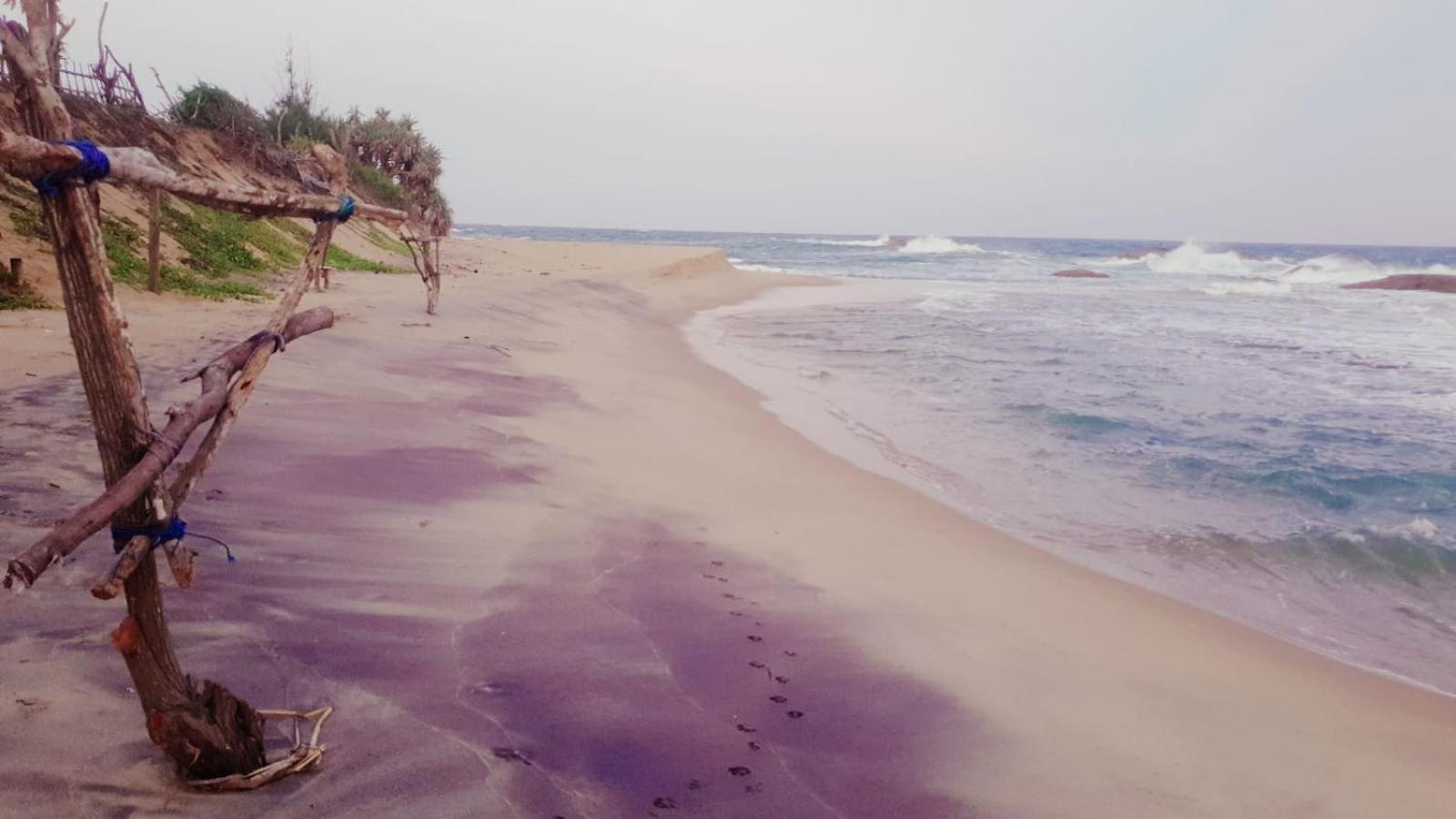 Beach Bungalow Yala Kirinda  Exterior foto